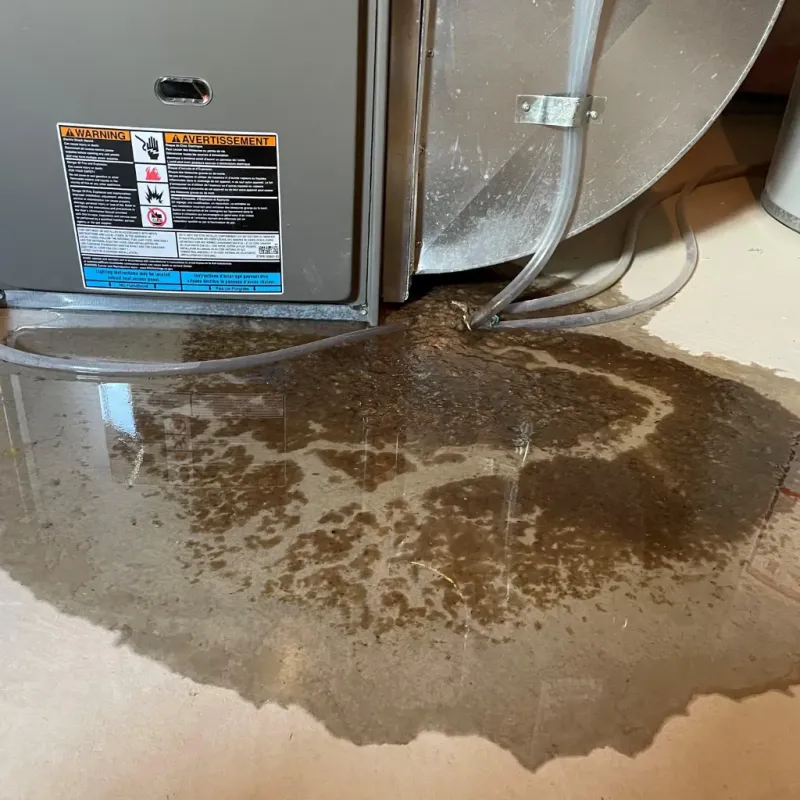 Appliance Leak Cleanup in Stewartville, AL